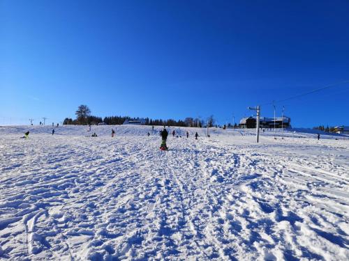 Apartmán Spa Šumava