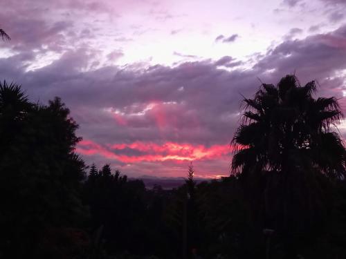 Biesiesvlei 2, Plettenberg Bay (photo 10)