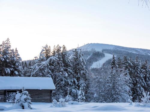 Stötens Stugor & Lägenheter - Hotel - Stöten i Sälen