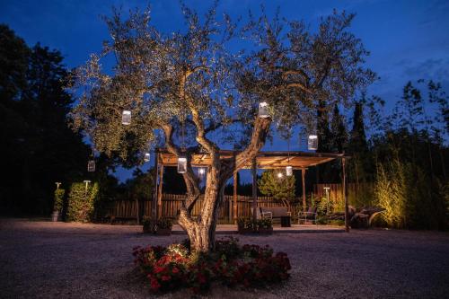 Fuori le Mura - Accommodation - Paestum