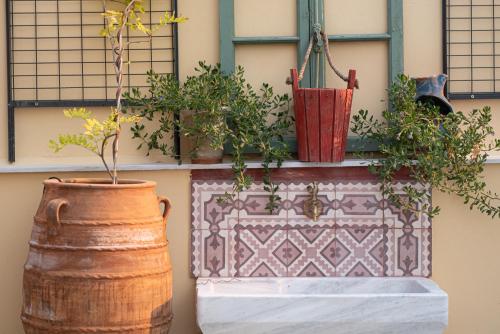 Beautiful City Suites - image 4