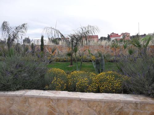 Palm paradise, Split (photo 5)