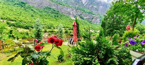 Vila Alexander B&B - main image