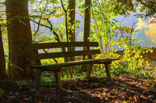 Ferienwohnungen Bauer - Auszeit mit Ausblick