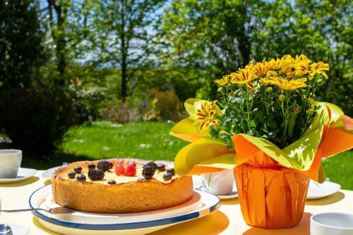 Ferienwohnungen Bauer - Auszeit mit Ausblick