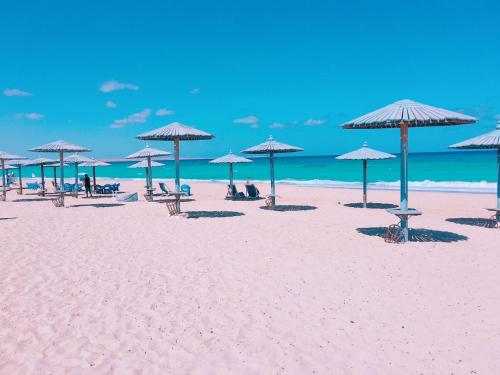 رويال بيتش in 자위야트 아일라트 누