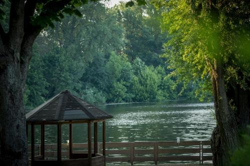 Seehotel Grunewald - image 9