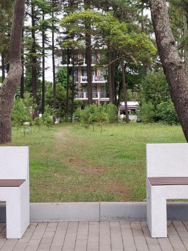 French Hotel in 科布列季