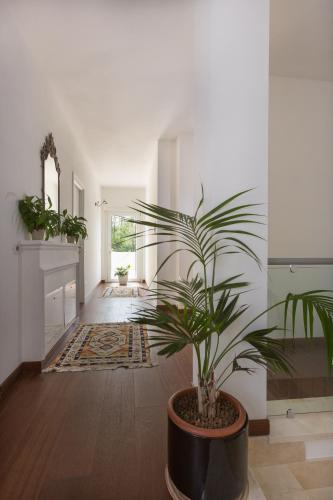 B&B Terra del Sole 3