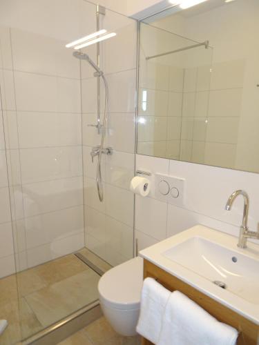 Altstadthotel Molitor - image 14