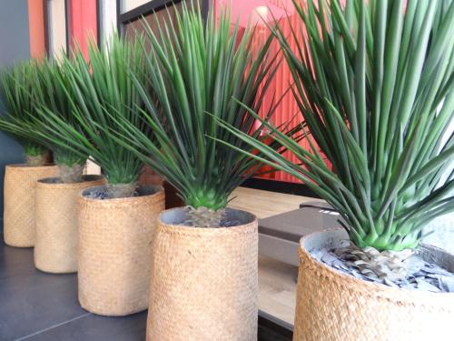 Hôtel Florida - image 2