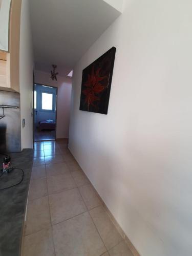 Apartment Vida