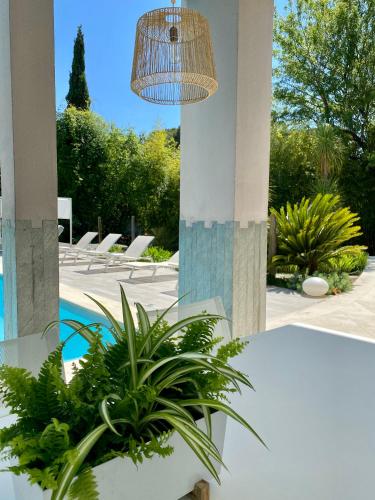 Une parenthèse sous les Pins à Montpellier B&B chambre d'hôte Montpellier