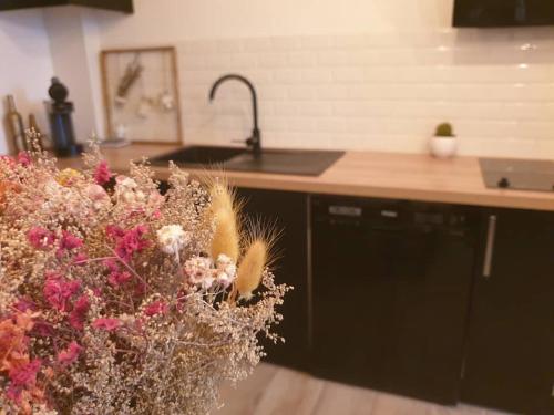 LE CITYBREAK - Studio hypercentre Saint Denis