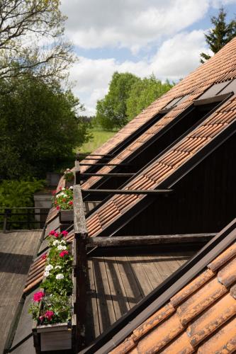 Viesu nams Vella Dzirnavas in Kurzemes