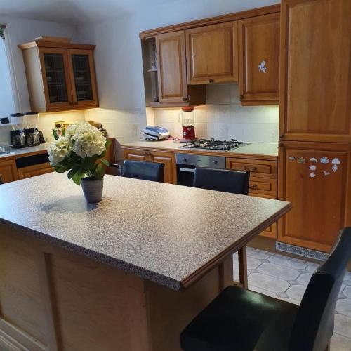 Cocina, Historic Manor House - Sleeps 16 - Pool & Hot Tub in Rochester