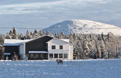 Exterior view, Lapland Happiness Skistar 113 in Peltotieva