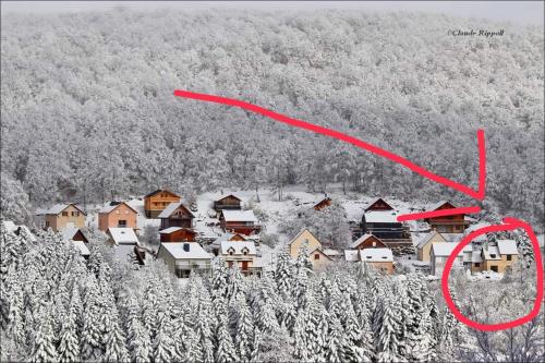 maison forêt d'Aubrac , au coeur de la nature - Location saisonnière - Prades-d'Aubrac