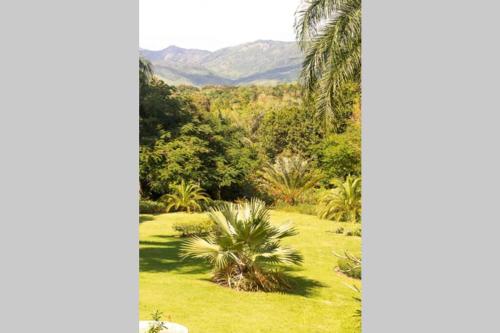 Special Offer!!! Beautiful Villa in Pedro Brand