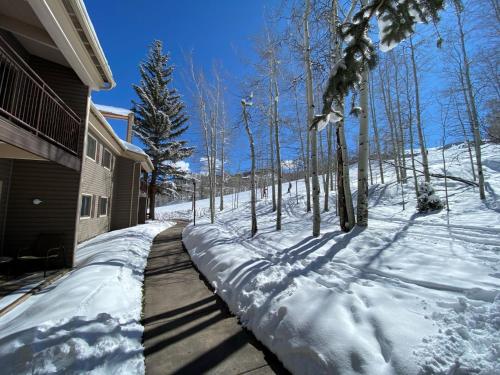 Timberline Condominiums Studio Deluxe Unit 116 secondary
