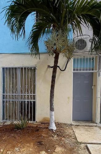 Apartamento tipo estudio, Chackah, Free WiFi, Cancún (Foto 2)