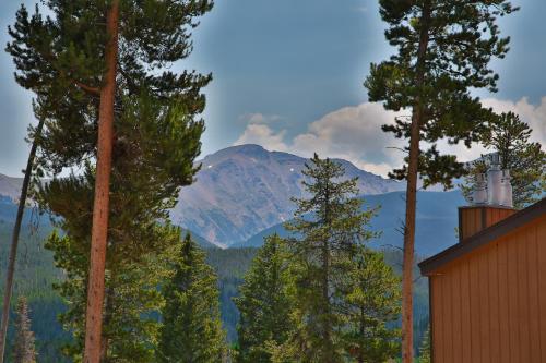Timber Run Vista 2 - main image