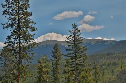 Timber Run Vista 2 - image 3