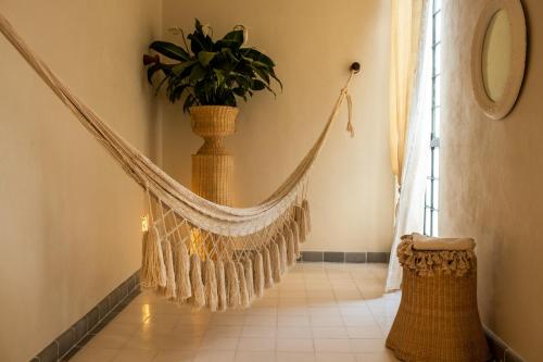 Casa Olivia - image 5