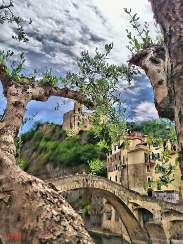 Casa Roberta, Dolceacqua (zdjęcie 8)