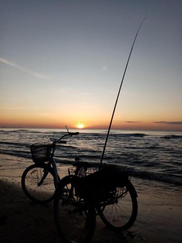 Saulespuķe, Ventspils (photo 8)