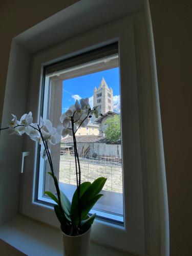 Emilius Suite 4
