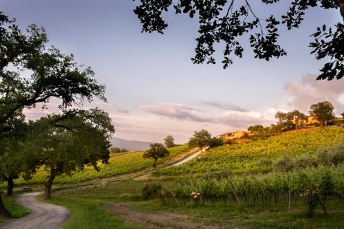 Altarocca Wine Resort - image 6