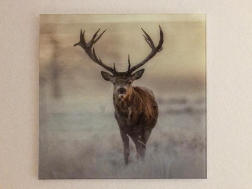 Appartements & Chalets Wiesenruh - image 10