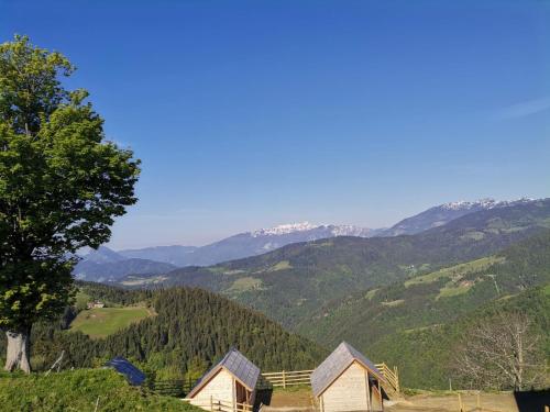 Farmstay&Glamping Visočnik