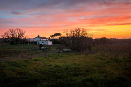 Agriturismo il Poggio