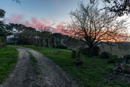 Agriturismo il Poggio