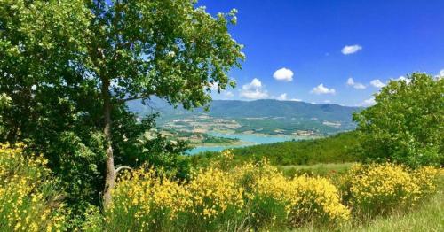 Piero della Francesca - Tuscany Villa Resort gîte à louer Caprese