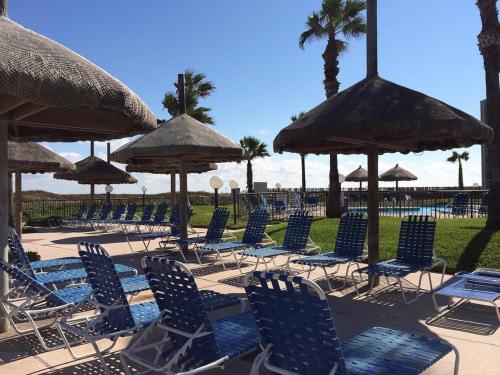 Signature Condos South Padre Island - 액티비티