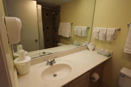 Signature Condos South Padre Island - 화장실