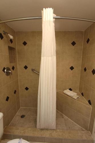 Signature Condos South Padre Island - 화장실