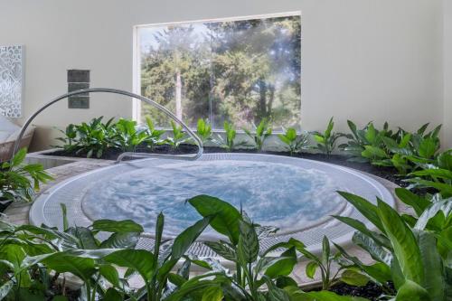 Gyógyfürdő, Carmel Forest Spa Resort by Isrotel Exclusive Collection in Mount Carmel