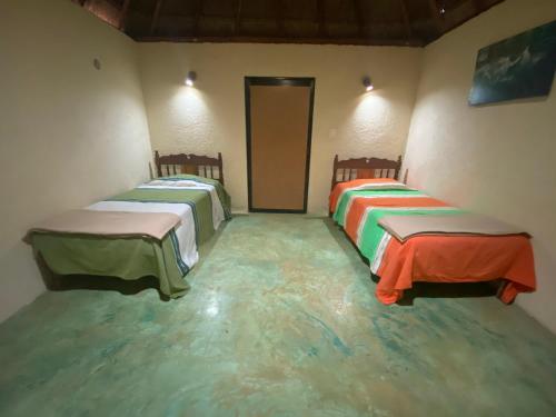 Mangrove King Fishing Lodge in Tenabó, Mexico