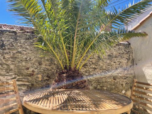 Le Patio d’Elena chambre d'hôte Forêt d'Olonne
