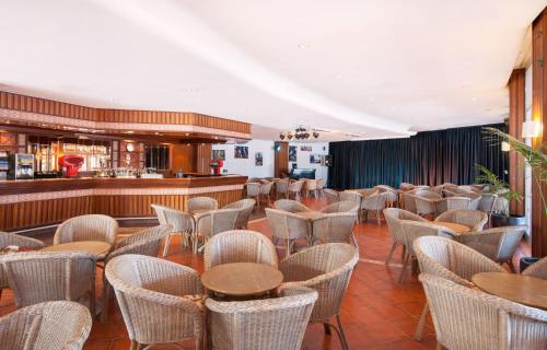 Relaxia Olivina - image 4