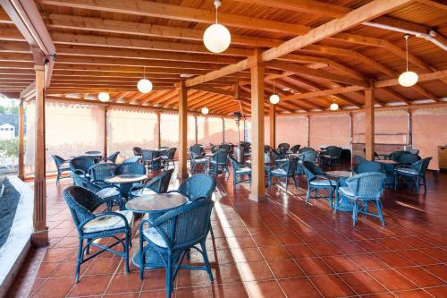 Relaxia Olivina - image 7