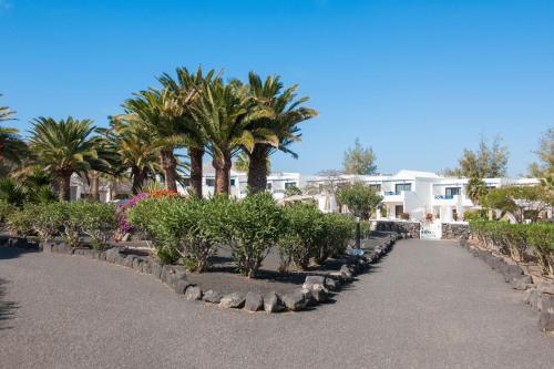 Relaxia Olivina - image 13
