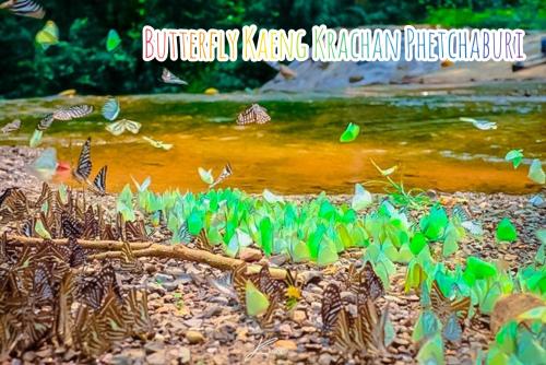 Baan Rai Pray Rung Kaeng Krachan