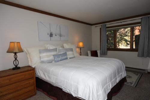 Mountainback #50 pet friendly - image 2