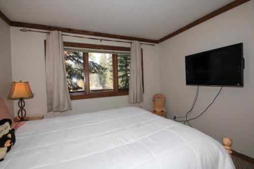 Mountainback #50 pet friendly - image 3
