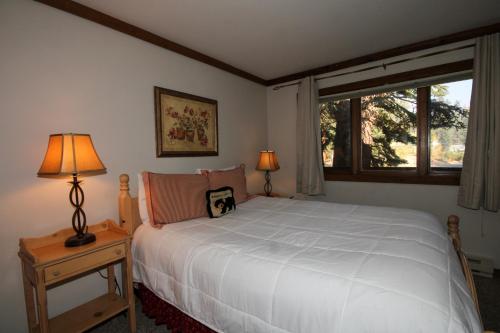 Mountainback #50 pet friendly - image 7